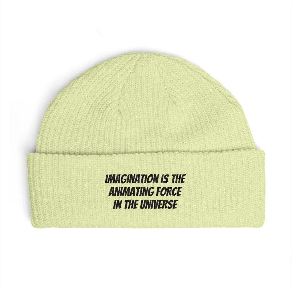 Cuff Beanie