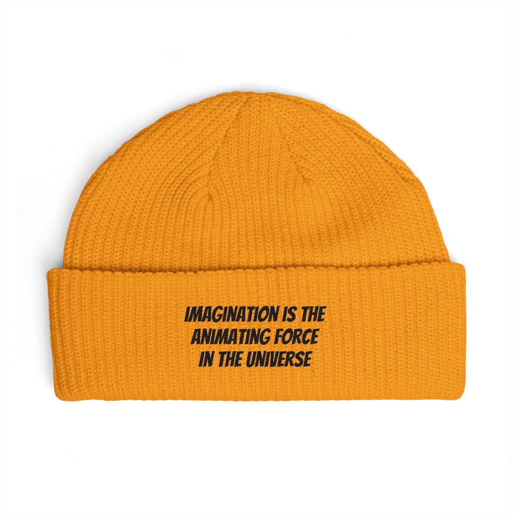Cuff Beanie